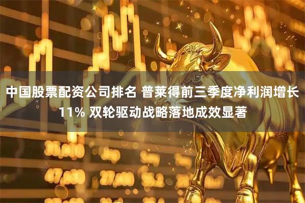 中国股票配资公司排名 普莱得前三季度净利润增长11% 双轮驱动战略落地成效显著