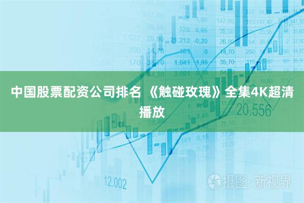 中国股票配资公司排名 《触碰玫瑰》全集4K超清播放