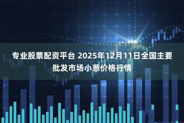 专业股票配资平台 2025年12月11日全国主要批发市场小葱价格行情